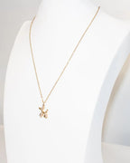 Collana cane